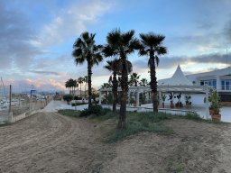 259-17-01-2026 IMG_3470